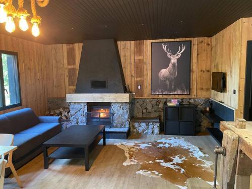 a living room with a couch and a fireplace at Chalet en forêt avec etang. in Saint-Étienne-lès-Remiremont