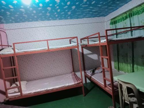 2 Etagenbetten in einem Zimmer mit Fischdecke in der Unterkunft QUICKSHAPE FITNESS GYM/QUICKSHIELD HOMESTAY in Naga