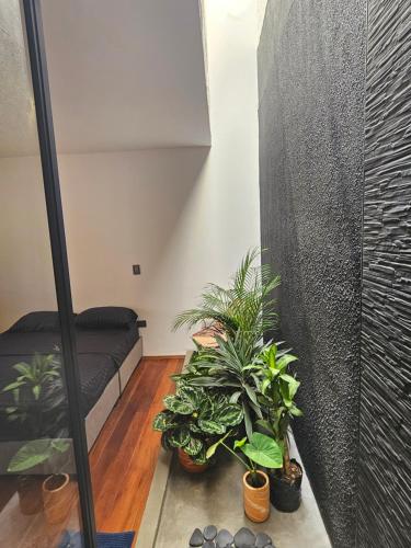 Fotografie z fotogalerie ubytování Casa Alba v destinaci Cali