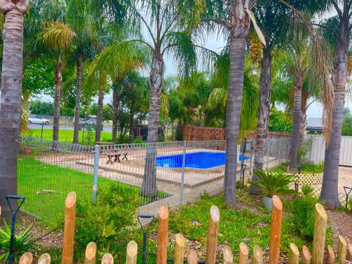 a fence with a pool in a park with palm trees at Seven Inn in Wagga Wagga