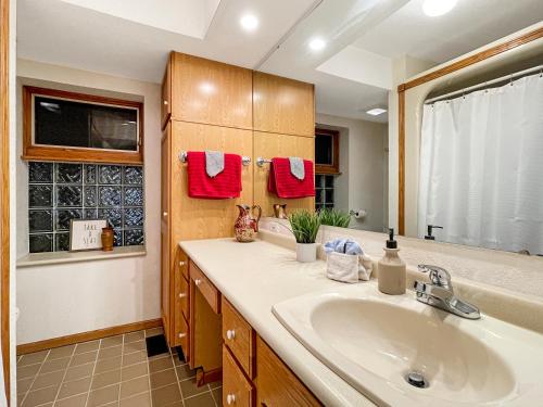 a bathroom with a sink and a mirror at Chic 2br - 2 Min From Icubs in Des Moines