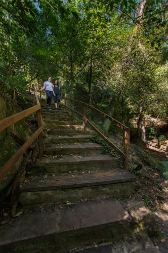 two people walking down a wooden stairs in the woods at Vista Alegre Natural Resort - Villas & Cabañas in Independencia