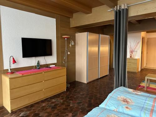 a bedroom with a television on a dresser with a bed at RELAX Seefeld Apartman in Seefeld in Tirol