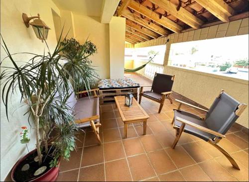 eine Terrasse mit Stühlen, einem Tisch und einer Topfpflanze in der Unterkunft Maison Climatisée in Saint-Hippolyte