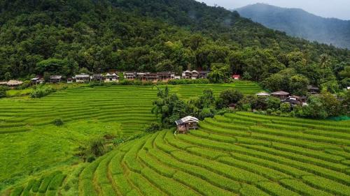 una vista aerea di un villaggio in un campo verde di บ้านพักชิปู ป่าบงเปียง a Ban Mae Pan Noi