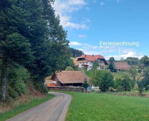 uma estrada de terra que leva a uma casa numa colina em Dischhof em Biederbach Baden-Württemberg