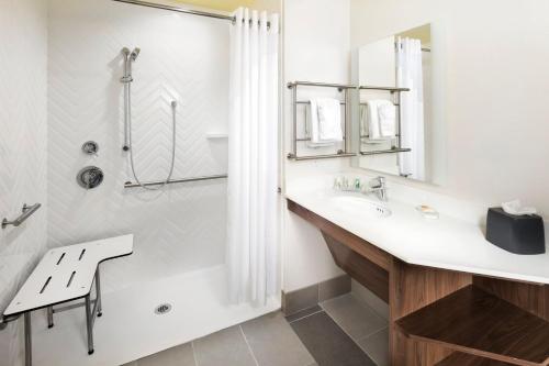 ein Bad mit einem Waschbecken und einer Dusche in der Unterkunft Holiday Inn & Suites Arden - Asheville Airport, an IHG Hotel in Arden