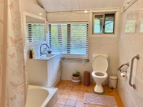 a bathroom with a toilet and a sink and a tub at Nimbin waterfall retreat in Nimbin