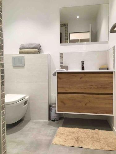 une salle de bain avec un lavabo, des toilettes et un miroir dans l'établissement Joli Studio au cœur du maquis, à Ocana