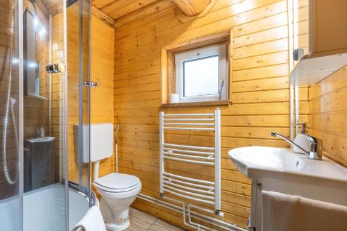 ein Bad mit einem WC, einem Waschbecken und einer Dusche in der Unterkunft Resort 7 Crai - Cabana Calinet in Zărneşti