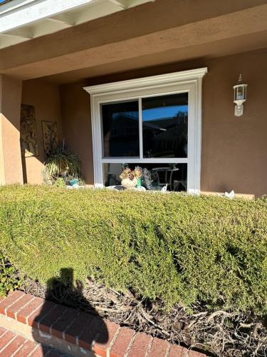 a dog sitting on a window sill in front of a house at Serenity Health Residential Care Home in Mission Viejo