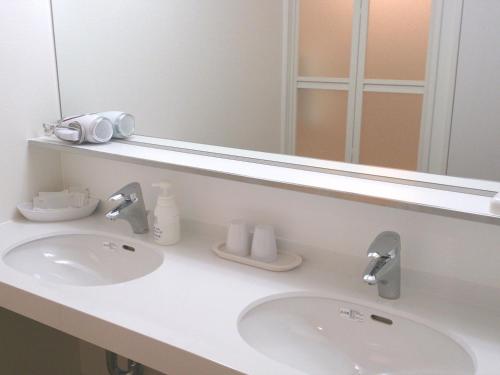 湯澤的住宿－湯澤新大谷日式旅館，一间带水槽和镜子的浴室