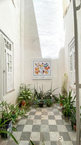 薩爾瓦多的住宿－Hostel Canto Zen，种有盆栽植物的庭院和墙上的绘画