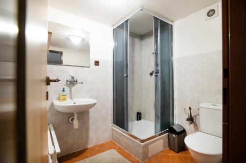 uma casa de banho com um chuveiro, um WC e um lavatório. em Chalupa Morávka 2 v Beskydech em Morávka