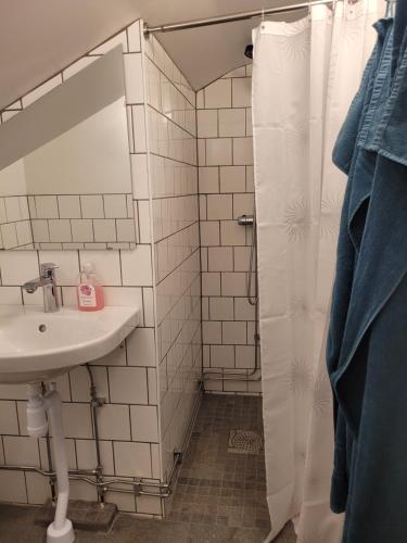 y baño con lavabo y ducha. en Mysigt hus utanför Järvsö, en Järvsö