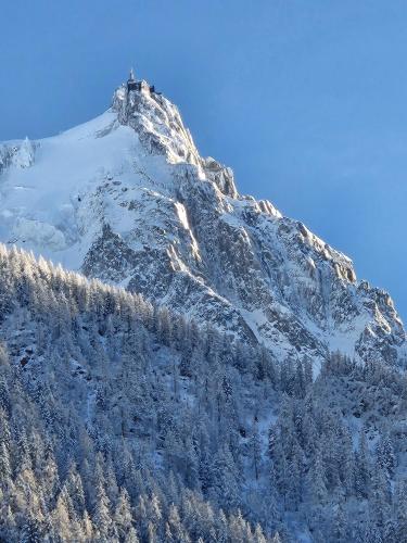 Appartement Cosy, Vue Mont Blanc, Plein Centre