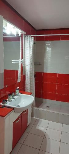 a bathroom with a white sink and a red wall at Vila Magica in Constanţa