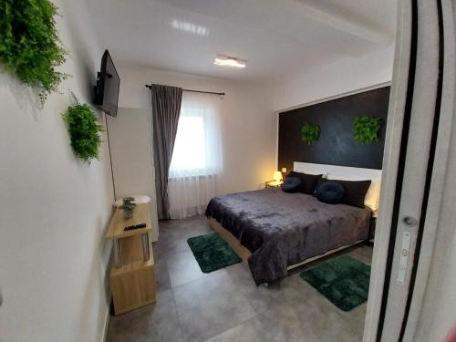 1 dormitorio con 1 cama y TV en PENSIUNEA IDEAL en Băile Borşa