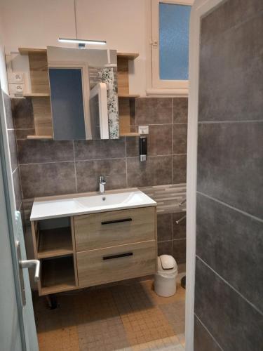 W łazience znajduje się umywalka, lustro i prysznic. w obiekcie Les Cyclamens 1 w mieście Cosne-Cours-sur-Loire