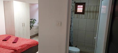 a small bathroom with a toilet and a shower at Vila Magica in Constanţa