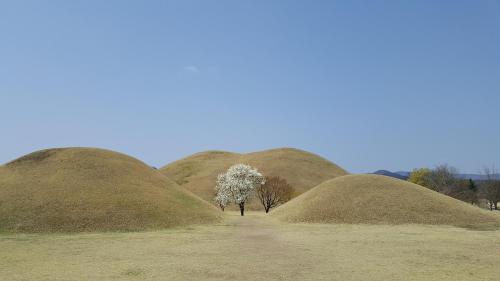 게스트하우스 주변 자연 경관