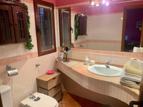 a bathroom with a sink and a toilet and a mirror at LUXURY Positive House Gran Chaparral Toledo in Pepino