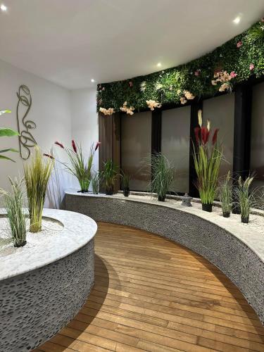 zen eden – Photos 2