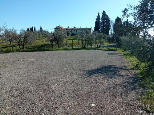 Zahrada ubytování Agriturismo Poggio Nardini