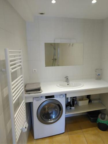 une salle de bain avec une machine à laver et un lavabo dans l'établissement Tiny duplex climatisé, à Lyon