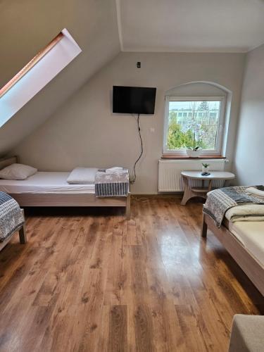 a living room with a bed and a tv at Noclegi Sławomir Zabłocki Bydgoszcz/Nakło nad Notecią i okolice in Strzelewo