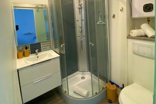 een badkamer met een douche en een wastafel bij Le Bienvenue - Rénové & calme - Centre Compiègne in Compiègne