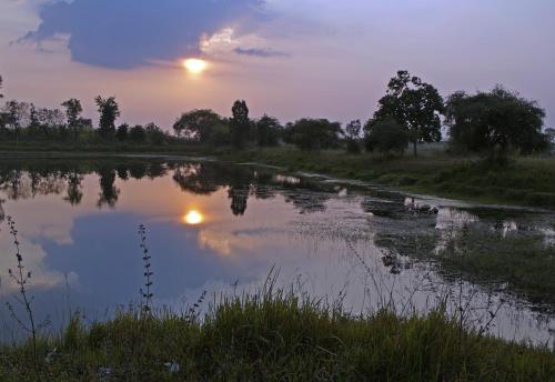 Landskap semula jadi dekat dengan homestay