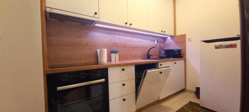 a kitchen with a sink and a stove at Budva Morska oaza in Budva