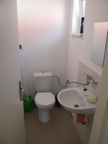 a small bathroom with a toilet and a sink at Penzión Anika in Krásnohorská Dlhá Lúka