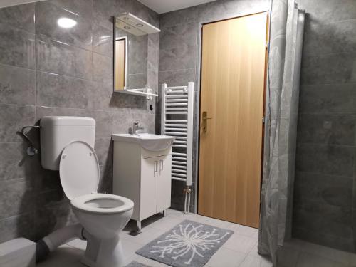uma casa de banho com um WC e um lavatório em Stan na dan Luna em Pale