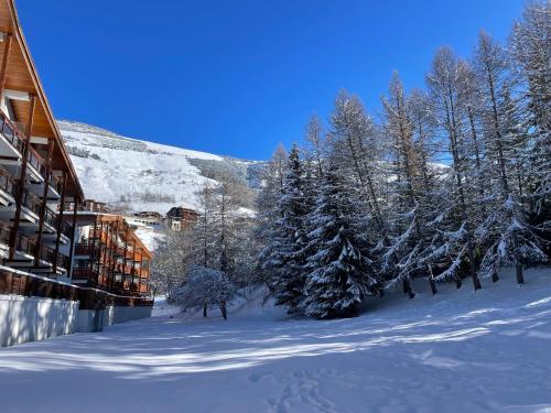 une cour enneigée avec des arbres et un bâtiment dans l'établissement Chez l'Oncle de l'Alpe, à Les Deux Alpes