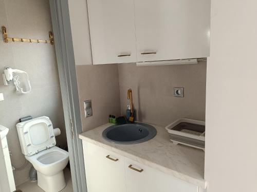 a small bathroom with a toilet and a sink at DATA Maisonettes and more in Chios