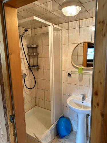 uma casa de banho com um chuveiro e um lavatório. em Wynajem Pokoi Magdalena em Zakopane