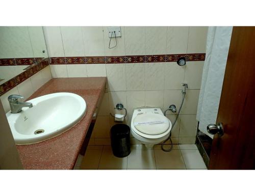 昌迪加爾的住宿－Hotel Solitaire, Chandigarh，一间带水槽和卫生间的浴室