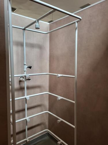 a shower with metal racks in a bathroom at Hotel Padis in Baile Felix