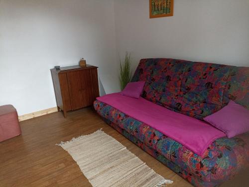 a living room with a couch with a pink blanket at Ancienne Boulangerie in Saint-Sauveur-en-Puisaye