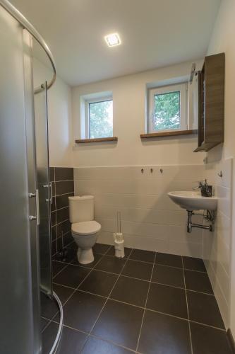 a bathroom with a toilet and a sink at Holiday home Uzbazes in Valmiera