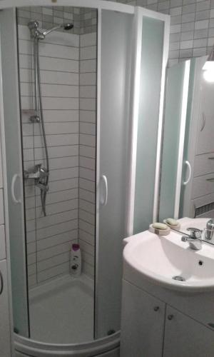 a bathroom with a shower and a sink at Bjelasnica Mini Studio in Sarajevo