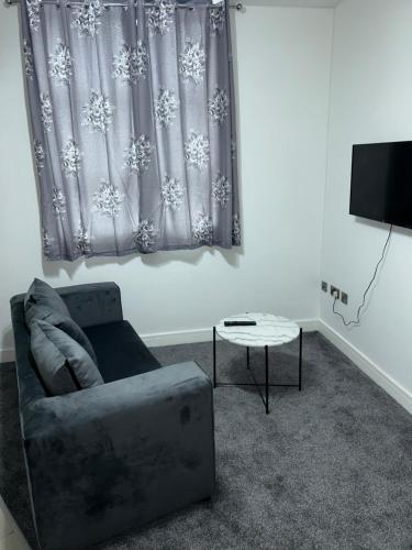 曼徹斯特的住宿－Lovely 1 bed apartment in Salford，带沙发和窗户的客厅