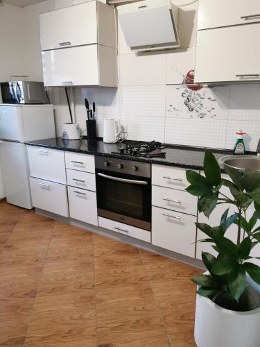 a kitchen with white appliances and a potted plant at Studio Apartment in the center in Shostka