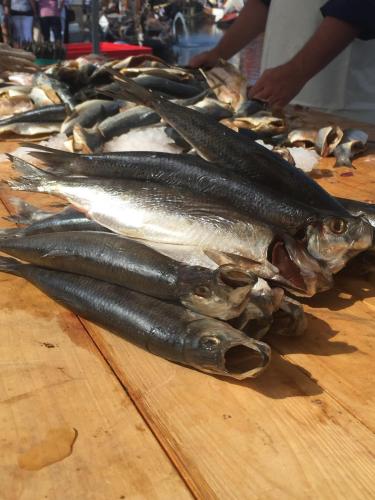 a pile of fish on a wooden table at Holiday in Spakenburg Groof in Spakenburg