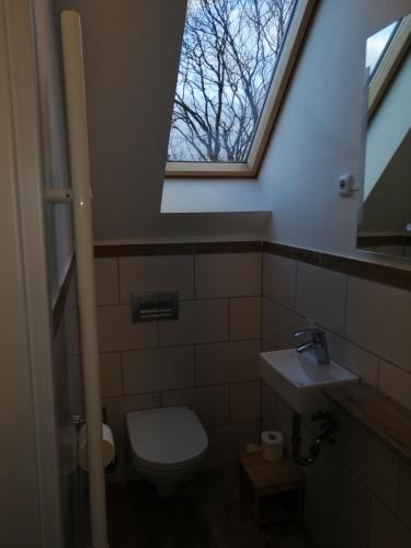 a bathroom with a window and a toilet and a sink at Rennsteigscheune in Steinbach am Wald