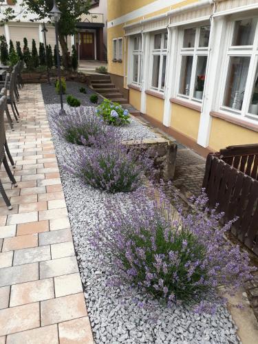 a garden with purple flowers in front of a building at Hotel Eleon in Bad Teinach-Zavelstein