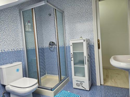 a bathroom with a shower and a toilet and a sink at Alojamientos turísticos Sinagoga in Úbeda