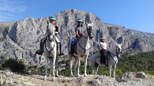 a group of people riding horses on a mountain at Glamping Vive Tus Suenos -Equilibrio- Caminito del Rey in Alora